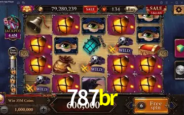 Flash Promotion 787br